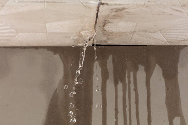 Professional Water Extraction technician working in Mapleton, ND